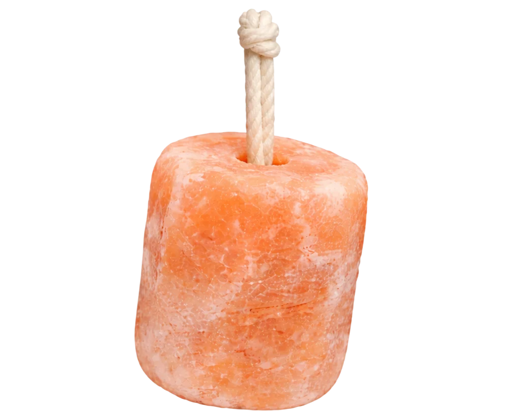 Horse Licking Block